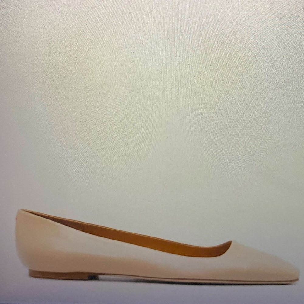 Aeyde Matti ballerina size 39 (size 9)